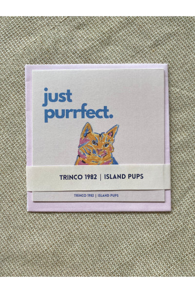 Card with Envelope - Just Purrfect (White)